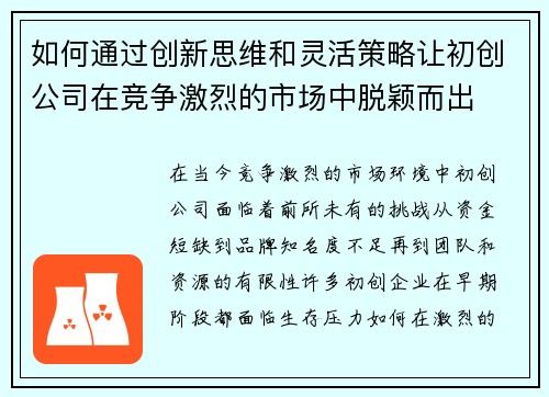 如何通过创新思维和灵活策略让初创公司在竞争激烈的市场中脱颖而出